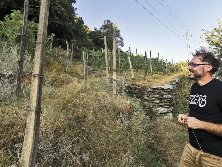 Tzèrb, il sorso eretico della Valtellina