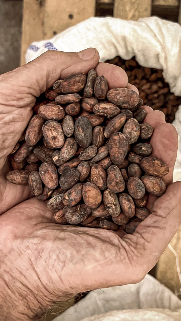 Bali, cacao e cioccolato