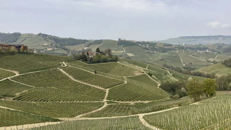 Le Langhe, dove il tempo sembra essersi fermato