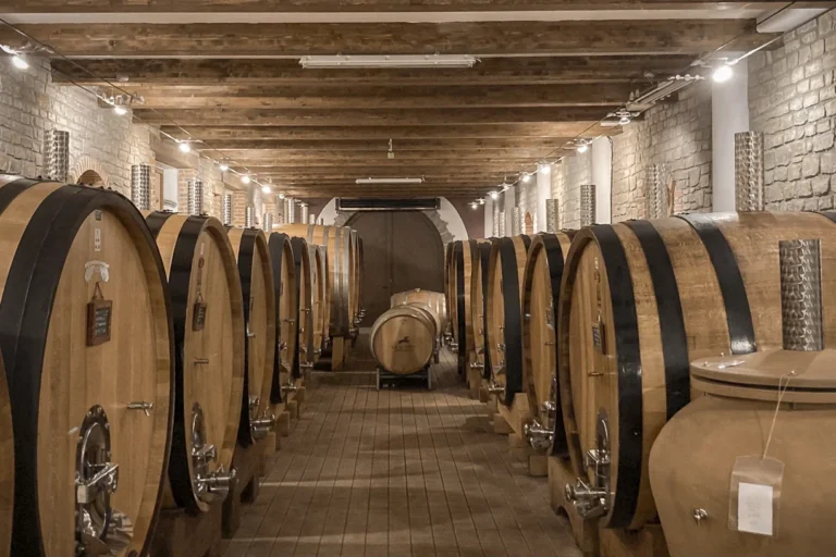 Barolo e Barbaresco, l’anima del nobile Piemonte