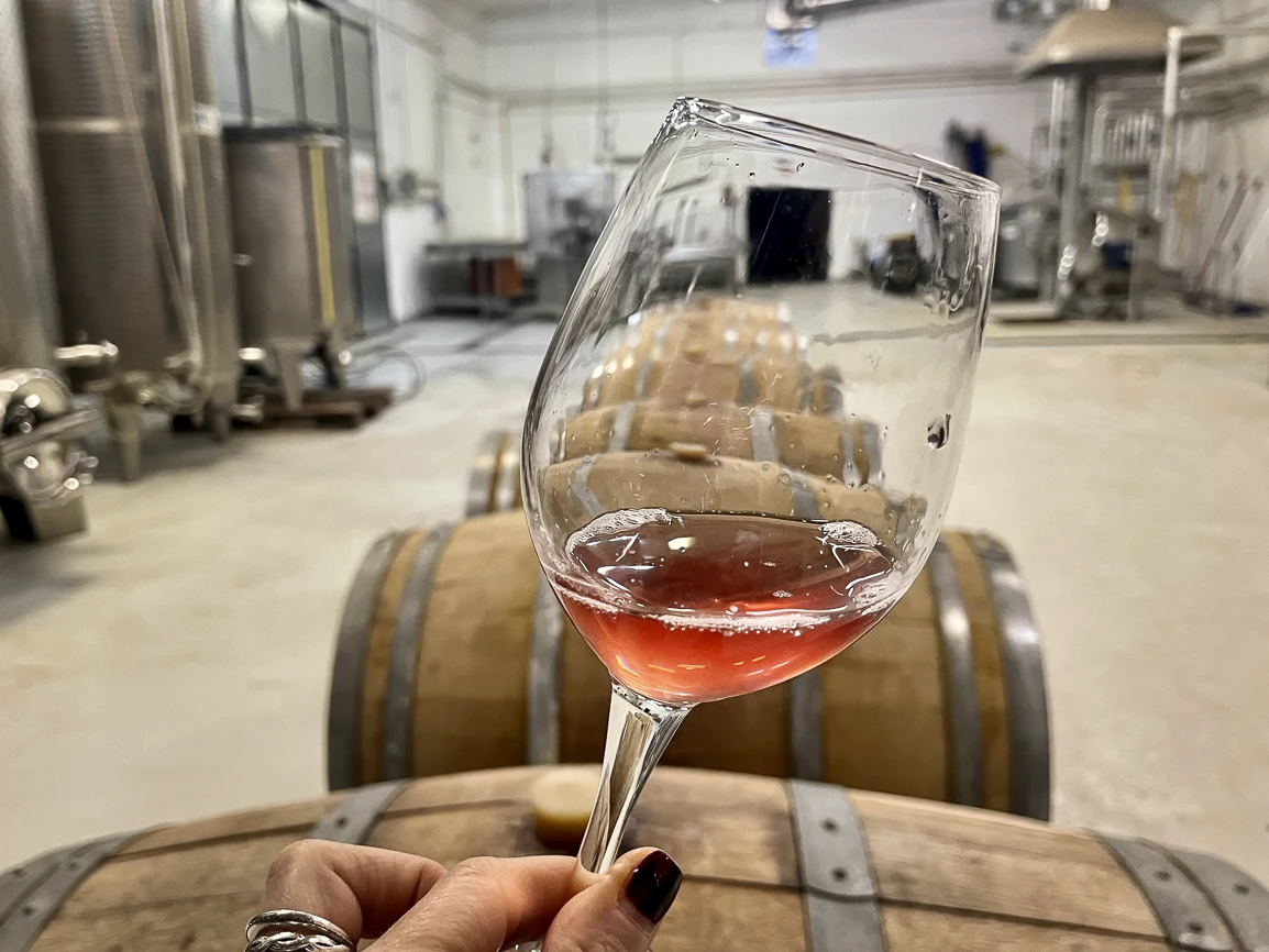 Vino Rosato Motta del Lupo 2024 assaggio dalla vasca