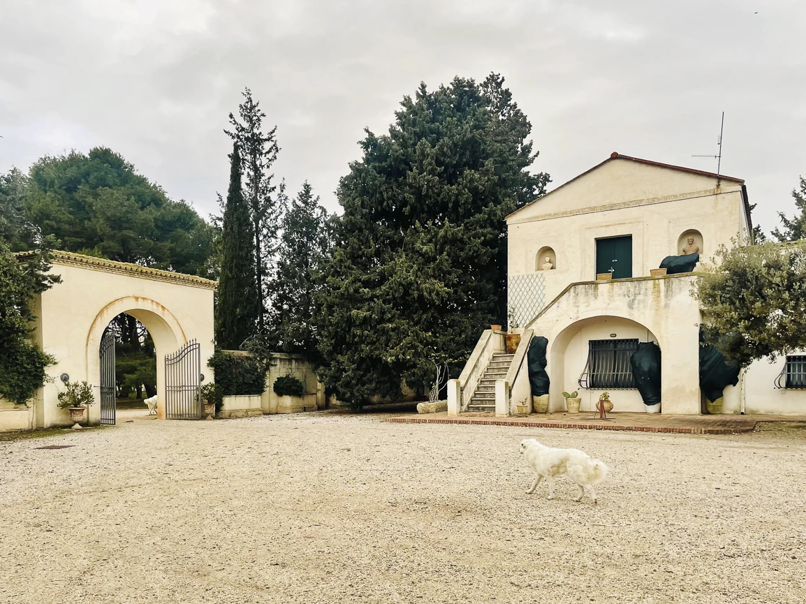 Azienda Agricola Paolo Petrilli