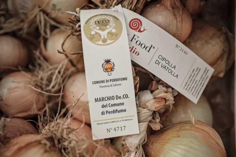 A Vatolla la cipolla è sacra