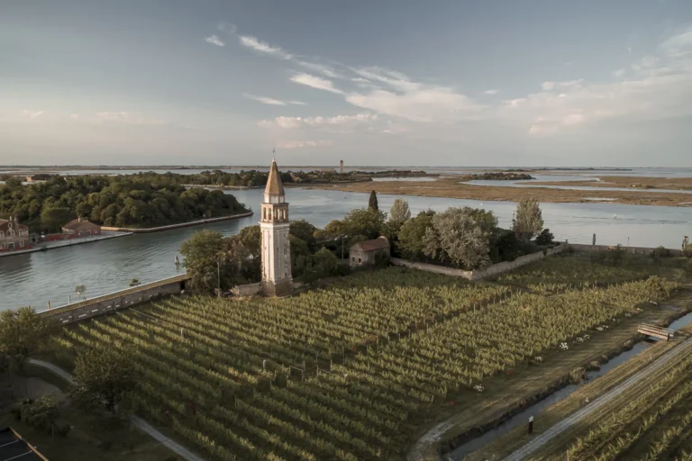 Venissa, il vigneto che sorge nel cuore della Laguna di Venezia