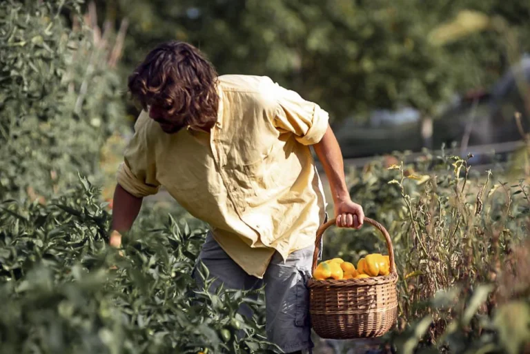 Un peperone al gusto di… Monopolio