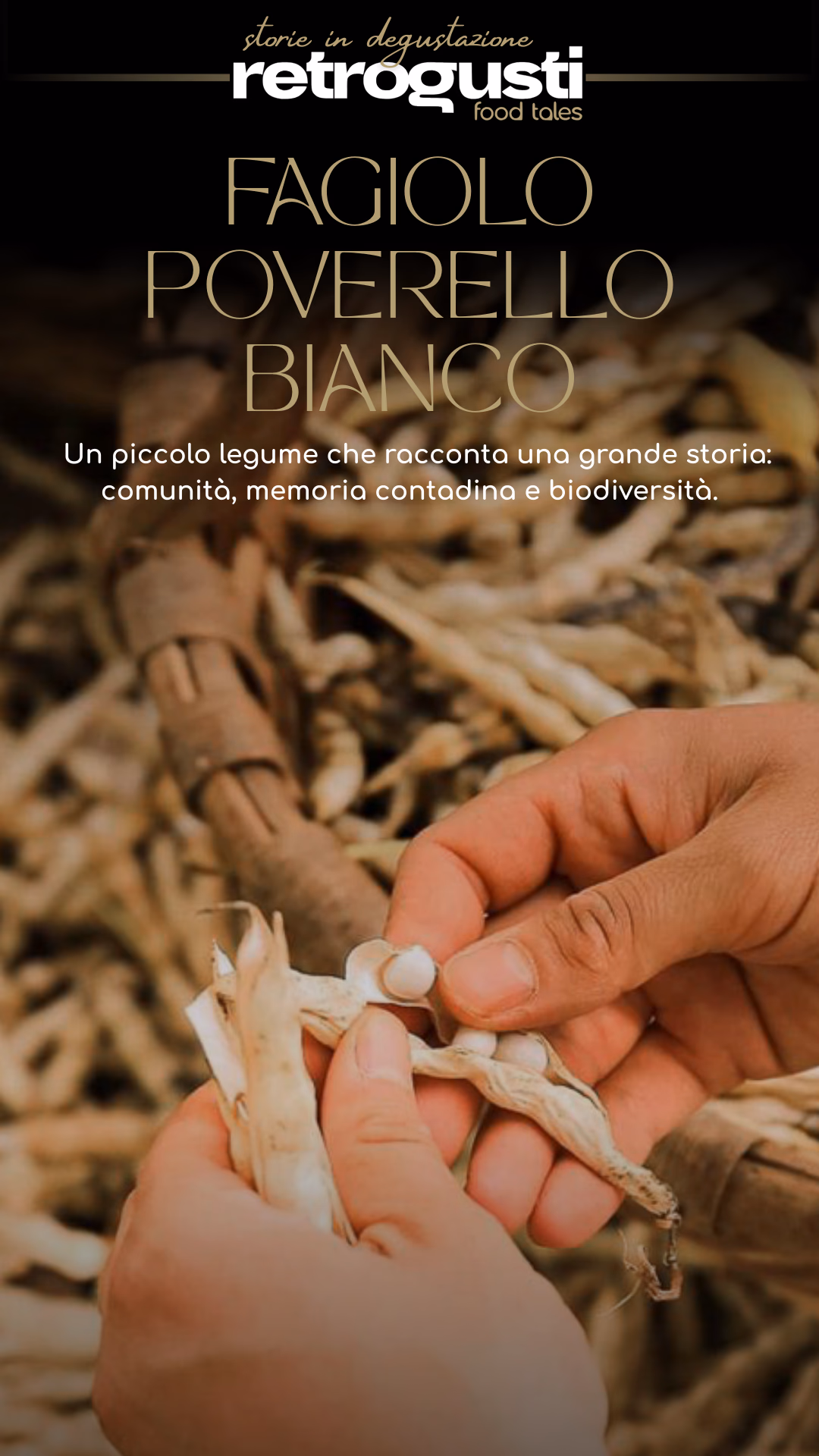 Fagiolo Poverello Bianco