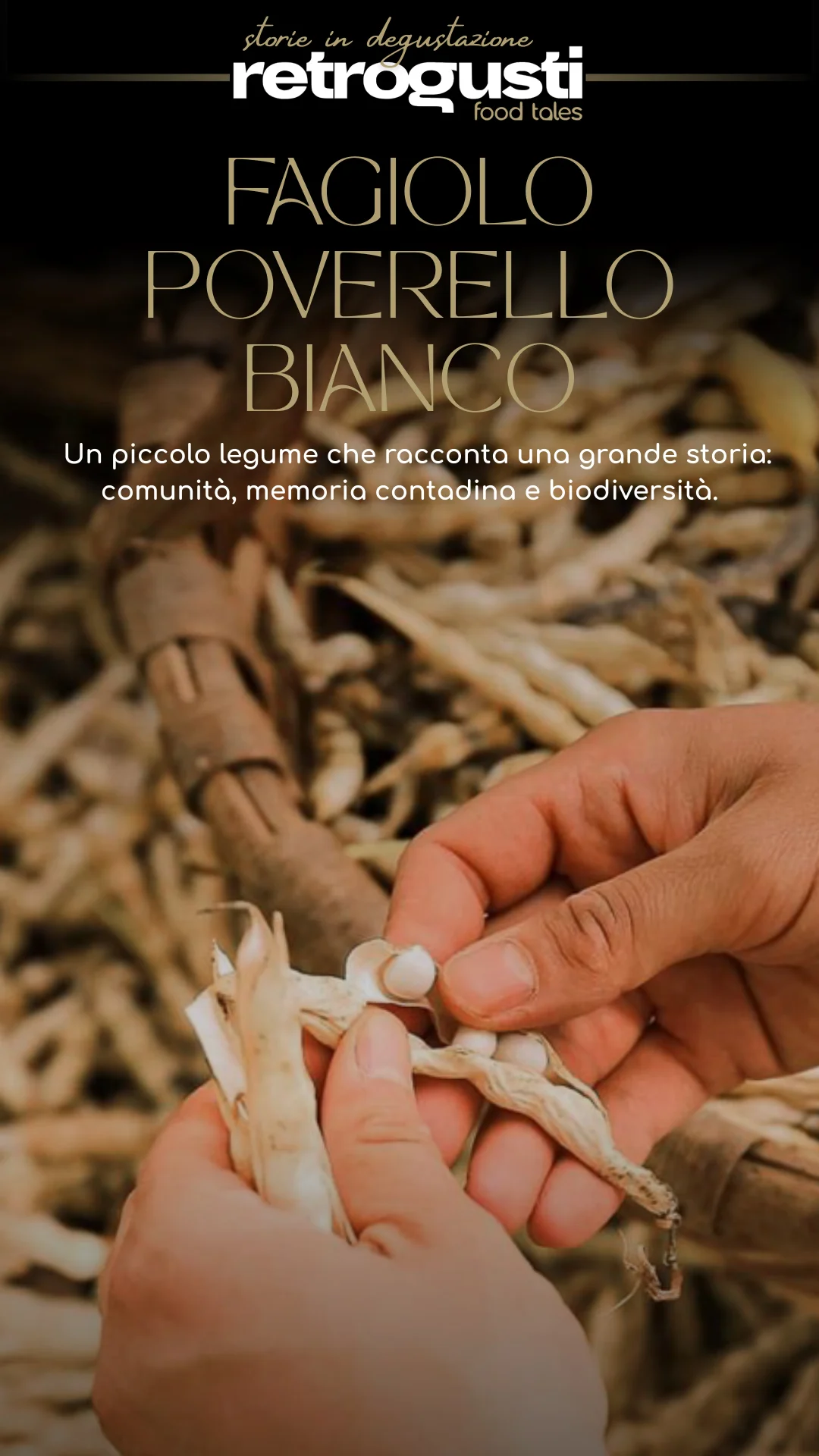 Fagiolo Poverello Bianco